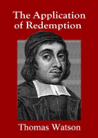 Application of Redemption.pdf